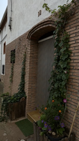 Fachada con plantas trepadoras