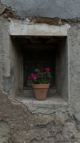 Ventana con geranios