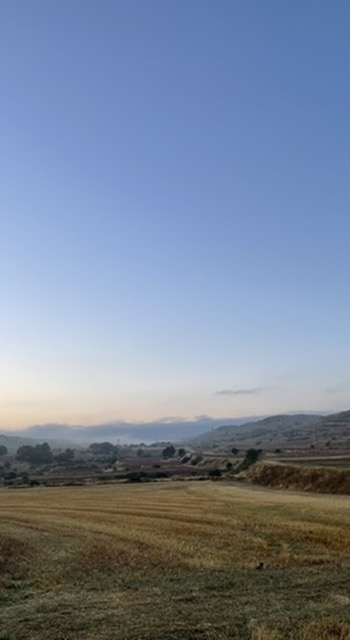 Campos de cultivo al atardecer